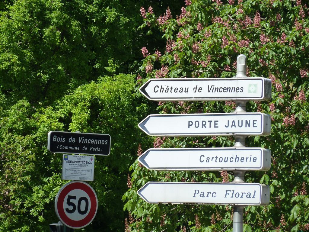 Studios Albri Nogent-sur-Seine Værelse billede
